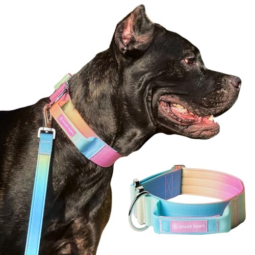 Spark Paws Taktisches Hundehalsband – Robuste, Premium-Qualität, Dick und Langlebig für Große und Mittelgroße Hunde - Pastel Icing - L, 5cm von Spark Paws