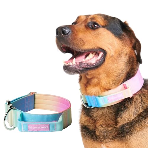 Spark Paws Taktisches Hundehalsband – Robuste, Premium-Qualität, Dick und Langlebig für Große und Mittelgroße Hunde - Pastel Icing - M, 5cm Spark Paws Taktisches Hundehalsband – Robuste, Premium-Qualität, Dick und Langlebig für Große und Mittelgroße Hunde - Pastel Icing - M, 5cm von Spark Paws