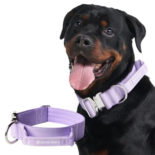 Spark Paws Taktisches Hundehalsband – strapazierfähig, Premium-Qualität, dick und langlebig für große und mittelgroße Hunde – Lila – L - 5.cm Spark Paws Taktisches Hundehalsband – strapazierfähig, Premium-Qualität, dick und langlebig für große und mittelgroße Hunde – Lila – L - 5.cm von Spark Paws