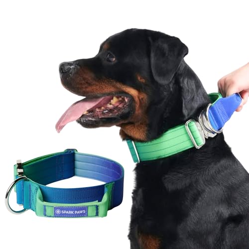 Spark Paws Taktisches Hundehalsband – strapazierfähig, Premium-Qualität, dick und langlebig für große und mittelgroße Hunde – Limettengrün – L – 3,8 cm Spark Paws Taktisches Hundehalsband – strapazierfähig, Premium-Qualität, dick und langlebig für große und mittelgroße Hunde – Limettengrün – L – 3,8 cm von Spark Paws