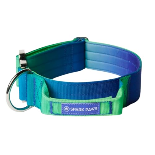 Spark Paws Taktisches Hundehalsband – strapazierfähig, Premium-Qualität, dick und langlebig für große und mittelgroße Hunde – Limettengrün – S – 3,8 cm Spark Paws Taktisches Hundehalsband – strapazierfähig, Premium-Qualität, dick und langlebig für große und mittelgroße Hunde – Limettengrün – S – 3,8 cm von Spark Paws