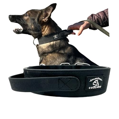 SparkDog Collars WP Arbeitshundehalsband, wasserdicht, Agitation, Dock-Tauchen, Hundebiathlon, Wandern, Abenteuer, Verkehrskontrollgriff SparkDog Collars WP Arbeitshundehalsband, wasserdicht, Agitation, Dock-Tauchen, Hundebiathlon, Wandern, Abenteuer, Verkehrskontrollgriff von SparkDog Collars