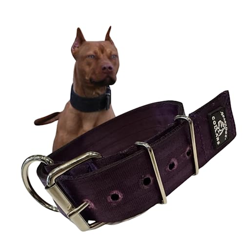 SparkDog Hundehalsband, 5,1 cm, strapazierfähig, 4-lagig, Edelstahl, Sicherheitsgurt-Halsband, hergestellt in den USA, Größe XL, Pflaume von -SparkDog- Collars
