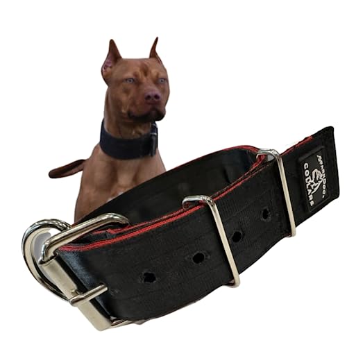 SparkDog Hundehalsband, 5,1 cm, strapazierfähig, 4-lagig, Edelstahl, Sicherheitsgurt-Halsband, hergestellt in den USA, Größe XL, Schwarz/Rot von -SparkDog- Collars