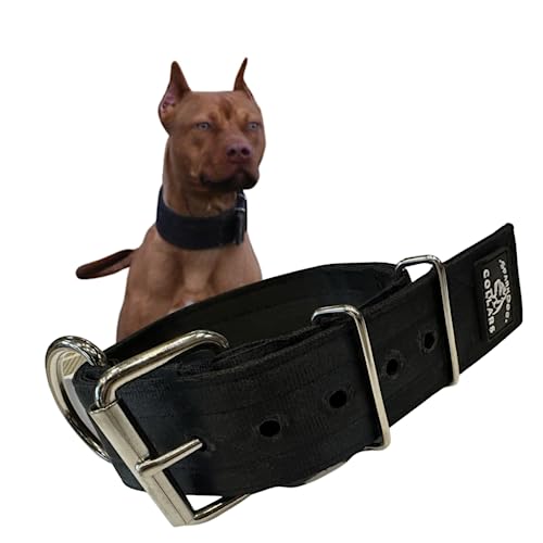 SparkDog Hundehalsband, 5,1 cm, strapazierfähig, 4-lagig, Edelstahl, Sicherheitsgurt-Halsband, hergestellt in den USA, Größe XL, Schwarz von -SparkDog- Collars