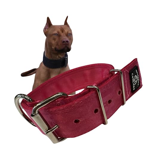 SparkDog Hundehalsband, 5,1 cm, strapazierfähig, 4-lagig, Edelstahl, Sicherheitsgurt-Halsband, hergestellt in den USA (XL, Hot Pink) von -SparkDog- Collars