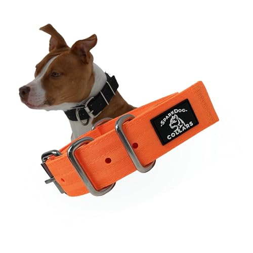 SparkDog Hundehalsband, strapazierfähig, verstellbar, mit Edelstahl-Hardware, wetterfest und langlebig, für mittelgroße Hunde, passend für Halsumfang von 33–48,3 cm, Hellorange, 3,8 cm von SparkDog Collars