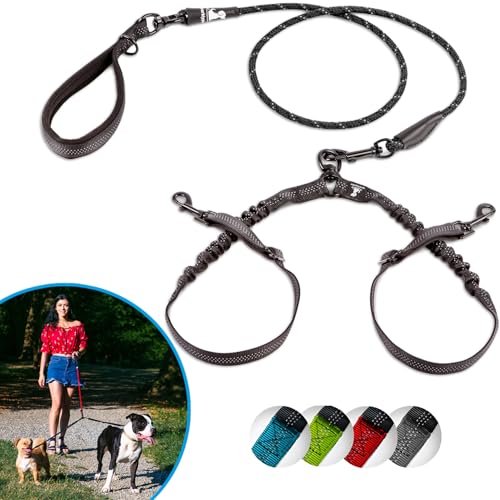 SparklyPets Doppelleine für 2 kleine Hunde – verhedderungsfreies Seil, Bungee-Doppelleine für Zwei kleine Rassen, mit verstellbaren Kupplungen und weichem Griff, Schwarz, Größe S SparklyPets Doppelleine für 2 kleine Hunde – verhedderungsfreies Seil, Bungee-Doppelleine für Zwei kleine Rassen, mit verstellbaren Kupplungen und weichem Griff, Schwarz, Größe S von SparklyPets