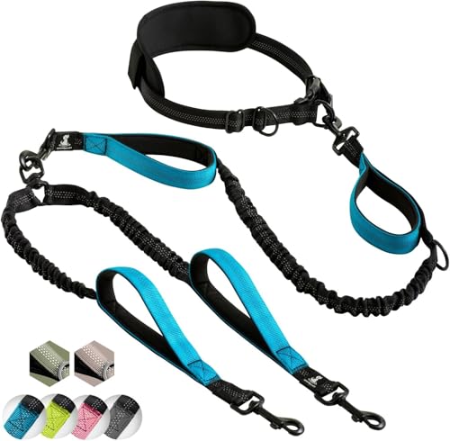 Joggingleine für Hunde zum Laufen, Joggen, Wandern | 2 in 1 Joggingleine und Normale Hundeleine für Große und Mittelgroße Hunde mit Doppelgriff | Bauchgurt Hundeleine Joggingleine für Hunde zum Laufen, Joggen, Wandern | 2 in 1 Joggingleine und Normale Hundeleine für Große und Mittelgroße Hunde mit Doppelgriff | Bauchgurt Hundeleine von SparklyPets