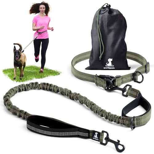 Joggingleine für Hunde zum Laufen, Joggen, Wandern | 2 in 1 Joggingleine und Normale Hundeleine für Große und Mittelgroße Hunde mit Doppelgriff | Bauchgurt Hundeleine Joggingleine für Hunde zum Laufen, Joggen, Wandern | 2 in 1 Joggingleine und Normale Hundeleine für Große und Mittelgroße Hunde mit Doppelgriff | Bauchgurt Hundeleine von SparklyPets