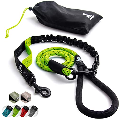 Hundeleine mit Bungee Verlängerung für Große und Mittelgroße Hunde mit Ruckdämpfer | Reflektierende Elastische Hundeleine zum Spazierengehen (Grün, Für 1 Hund) von SparklyPets