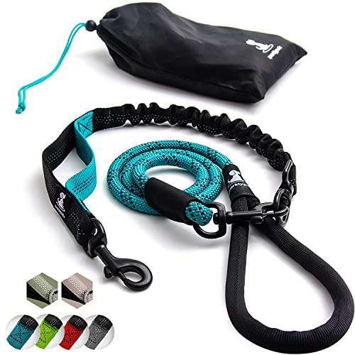 Hundeleine mit Bungee Verlängerung für Große und Mittelgroße Hunde mit Ruckdämpfer | Reflektierende Elastische Hundeleine zum Spazierengehen (Türkisgrün, Für 1 Hund) von SparklyPets