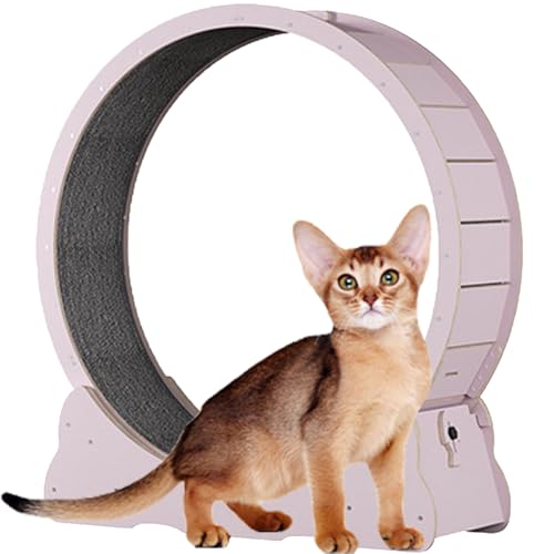 Hölzernes Katzen-Übungsrad, Katzenlaufrad mit Bremse, interaktives Katzenspielzeug, mit Schloss und Teppichboden, Fitness-Gerät zur Gewichtsreduktion für Katzen,Pink-XL Hölzernes Katzen-Übungsrad, Katzenlaufrad mit Bremse, interaktives Katzenspielzeug, mit Schloss und Teppichboden, Fitness-Gerät zur Gewichtsreduktion für Katzen,Pink-XL von Spdazzleburst