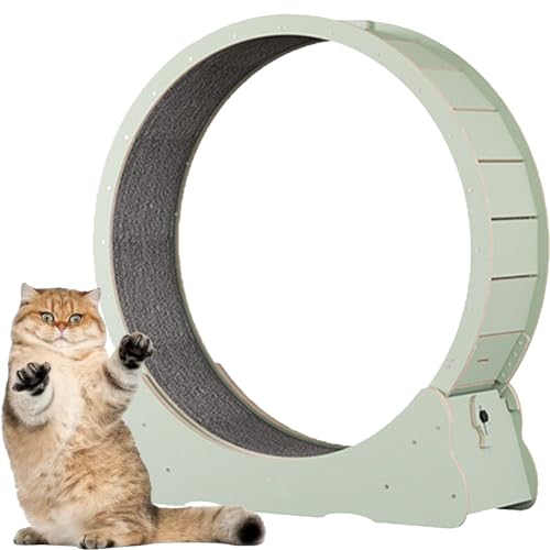 Katzen-Übungsrad, Katzen-Übungsrad aus Holz, mit Teppichboden, Laufband für Haustiere mit Bremse, für kleine und große Katzen,Green-L Katzen-Übungsrad, Katzen-Übungsrad aus Holz, mit Teppichboden, Laufband für Haustiere mit Bremse, für kleine und große Katzen,Green-L von Spdazzleburst