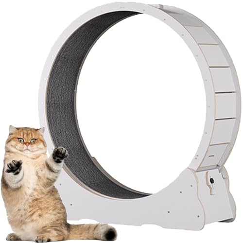 Katzen-Übungsrad, Katzen-Übungsrad aus Holz, mit Teppichboden, Laufband für Haustiere mit Bremse, für kleine und große Katzen,White-L Katzen-Übungsrad, Katzen-Übungsrad aus Holz, mit Teppichboden, Laufband für Haustiere mit Bremse, für kleine und große Katzen,White-L von Spdazzleburst
