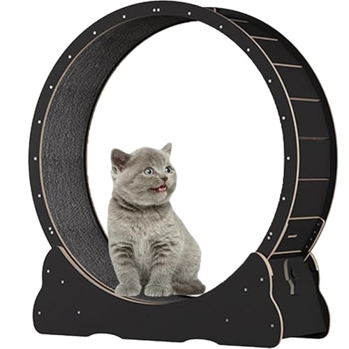 Katzen-Übungsrad, hölzernes Laufband für Haustiere, mit Bremse, interaktives Katzenspielzeug, mit Schloss und Teppichboden, Fitness-Gerät zur Gewichtsreduktion für Katzen,Black-XL Katzen-Übungsrad, hölzernes Laufband für Haustiere, mit Bremse, interaktives Katzenspielzeug, mit Schloss und Teppichboden, Fitness-Gerät zur Gewichtsreduktion für Katzen,Black-XL von Spdazzleburst