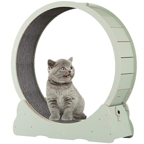 Katzen-Übungsrad, hölzernes Laufband für Haustiere, mit Bremse, interaktives Katzenspielzeug, mit Schloss und Teppichboden, Fitness-Gerät zur Gewichtsreduktion für Katzen,Green-XL Katzen-Übungsrad, hölzernes Laufband für Haustiere, mit Bremse, interaktives Katzenspielzeug, mit Schloss und Teppichboden, Fitness-Gerät zur Gewichtsreduktion für Katzen,Green-XL von Spdazzleburst