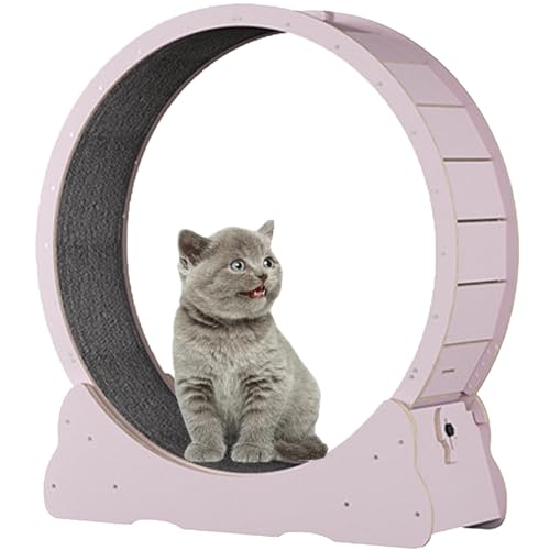 Katzen-Übungsrad, hölzernes Laufband für Haustiere, mit Bremse, interaktives Katzenspielzeug, mit Schloss und Teppichboden, Fitness-Gerät zur Gewichtsreduktion für Katzen,Pink-L Katzen-Übungsrad, hölzernes Laufband für Haustiere, mit Bremse, interaktives Katzenspielzeug, mit Schloss und Teppichboden, Fitness-Gerät zur Gewichtsreduktion für Katzen,Pink-L von Spdazzleburst