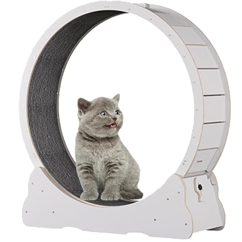 Katzen-Übungsrad, hölzernes Laufband für Haustiere, mit Bremse, interaktives Katzenspielzeug, mit Schloss und Teppichboden, Fitness-Gerät zur Gewichtsreduktion für Katzen,White-L Katzen-Übungsrad, hölzernes Laufband für Haustiere, mit Bremse, interaktives Katzenspielzeug, mit Schloss und Teppichboden, Fitness-Gerät zur Gewichtsreduktion für Katzen,White-L von Spdazzleburst