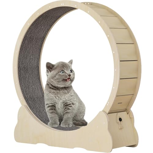 Katzen-Übungsrad, hölzernes Laufband für Haustiere, mit Bremse, interaktives Katzenspielzeug, mit Schloss und Teppichboden, Fitness-Gerät zur Gewichtsreduktion für Katzen,Yellow-XL Katzen-Übungsrad, hölzernes Laufband für Haustiere, mit Bremse, interaktives Katzenspielzeug, mit Schloss und Teppichboden, Fitness-Gerät zur Gewichtsreduktion für Katzen,Yellow-XL von Spdazzleburst