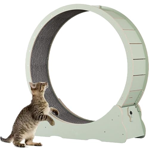Katzenlaufband, Laufrad für Katzen aus Holz, mit Teppichboden, Laufband für Haustiere mit Bremse, perfekt für Ihre energiegeladene Katze,Green-XL Katzenlaufband, Laufrad für Katzen aus Holz, mit Teppichboden, Laufband für Haustiere mit Bremse, perfekt für Ihre energiegeladene Katze,Green-XL von Spdazzleburst