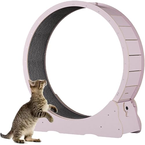Katzenlaufband, Laufrad für Katzen aus Holz, mit Teppichboden, Laufband für Haustiere mit Bremse, perfekt für Ihre energiegeladene Katze,Pink-L Katzenlaufband, Laufrad für Katzen aus Holz, mit Teppichboden, Laufband für Haustiere mit Bremse, perfekt für Ihre energiegeladene Katze,Pink-L von Spdazzleburst