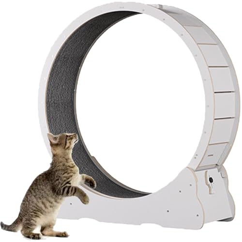 Katzenlaufband, Laufrad für Katzen aus Holz, mit Teppichboden, Laufband für Haustiere mit Bremse, perfekt für Ihre energiegeladene Katze,White-XL Katzenlaufband, Laufrad für Katzen aus Holz, mit Teppichboden, Laufband für Haustiere mit Bremse, perfekt für Ihre energiegeladene Katze,White-XL von Spdazzleburst