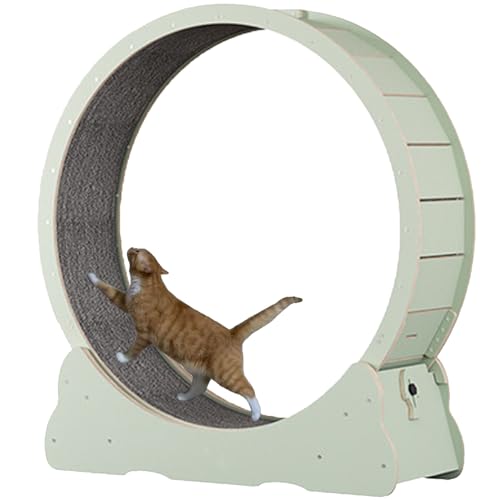 Katzenlaufband mit Teppichboden, Laufband für Haustiere mit Bremse, Kratzpads, Katzen-Übungsrad für die Gesundheit, perfekt für Ihre energiegeladene Katze,Green-XL Katzenlaufband mit Teppichboden, Laufband für Haustiere mit Bremse, Kratzpads, Katzen-Übungsrad für die Gesundheit, perfekt für Ihre energiegeladene Katze,Green-XL von Spdazzleburst