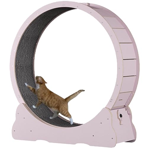 Katzenlaufband mit Teppichboden, Laufband für Haustiere mit Bremse, Kratzpads, Katzen-Übungsrad für die Gesundheit, perfekt für Ihre energiegeladene Katze,Pink-L Katzenlaufband mit Teppichboden, Laufband für Haustiere mit Bremse, Kratzpads, Katzen-Übungsrad für die Gesundheit, perfekt für Ihre energiegeladene Katze,Pink-L von Spdazzleburst
