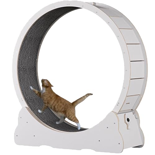 Katzenlaufband mit Teppichboden, Laufband für Haustiere mit Bremse, Kratzpads, Katzen-Übungsrad für die Gesundheit, perfekt für Ihre energiegeladene Katze,White-L Katzenlaufband mit Teppichboden, Laufband für Haustiere mit Bremse, Kratzpads, Katzen-Übungsrad für die Gesundheit, perfekt für Ihre energiegeladene Katze,White-L von Spdazzleburst