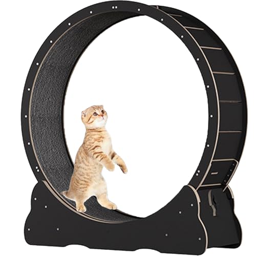 Katzenlaufrad für Hauskatzen, Laufband für Haustiere, mit Bremse, Kratzpolstern, Katzenübungsrad für die Gesundheit, perfekt für Ihre energiegeladene Katze,Black-L Katzenlaufrad für Hauskatzen, Laufband für Haustiere, mit Bremse, Kratzpolstern, Katzenübungsrad für die Gesundheit, perfekt für Ihre energiegeladene Katze,Black-L von Spdazzleburst