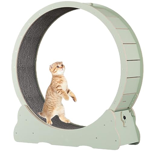 Katzenlaufrad für Hauskatzen, Laufband für Haustiere, mit Bremse, Kratzpolstern, Katzenübungsrad für die Gesundheit, perfekt für Ihre energiegeladene Katze,Green-L Katzenlaufrad für Hauskatzen, Laufband für Haustiere, mit Bremse, Kratzpolstern, Katzenübungsrad für die Gesundheit, perfekt für Ihre energiegeladene Katze,Green-L von Spdazzleburst