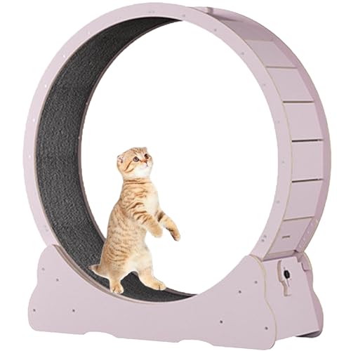 Katzenlaufrad für Hauskatzen, Laufband für Haustiere, mit Bremse, Kratzpolstern, Katzenübungsrad für die Gesundheit, perfekt für Ihre energiegeladene Katze,Pink-XL Katzenlaufrad für Hauskatzen, Laufband für Haustiere, mit Bremse, Kratzpolstern, Katzenübungsrad für die Gesundheit, perfekt für Ihre energiegeladene Katze,Pink-XL von Spdazzleburst