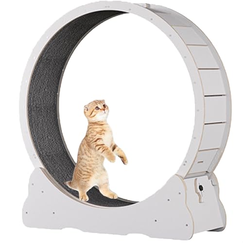 Katzenlaufrad für Hauskatzen, Laufband für Haustiere, mit Bremse, Kratzpolstern, Katzenübungsrad für die Gesundheit, perfekt für Ihre energiegeladene Katze,White-XL Katzenlaufrad für Hauskatzen, Laufband für Haustiere, mit Bremse, Kratzpolstern, Katzenübungsrad für die Gesundheit, perfekt für Ihre energiegeladene Katze,White-XL von Spdazzleburst