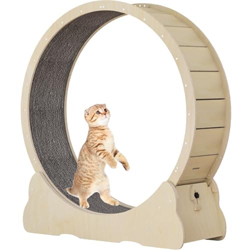 Katzenlaufrad für Hauskatzen, Laufband für Haustiere, mit Bremse, Kratzpolstern, Katzenübungsrad für die Gesundheit, perfekt für Ihre energiegeladene Katze,Yellow-L Katzenlaufrad für Hauskatzen, Laufband für Haustiere, mit Bremse, Kratzpolstern, Katzenübungsrad für die Gesundheit, perfekt für Ihre energiegeladene Katze,Yellow-L von Spdazzleburst