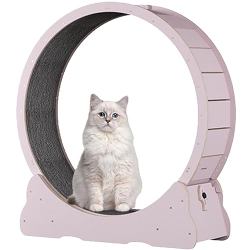 Katzenlaufrad für Hauskatzen, Laufband für Haustiere, mit Bremse, Laufrad für Katzen für die Gesundheit, interaktives Katzenspielzeug, mit Schloss und Teppichboden,Pink-L Katzenlaufrad für Hauskatzen, Laufband für Haustiere, mit Bremse, Laufrad für Katzen für die Gesundheit, interaktives Katzenspielzeug, mit Schloss und Teppichboden,Pink-L von Spdazzleburst