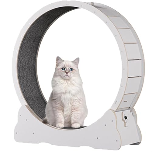 Katzenlaufrad für Hauskatzen, Laufband für Haustiere, mit Bremse, Laufrad für Katzen für die Gesundheit, interaktives Katzenspielzeug, mit Schloss und Teppichboden,White-XL Katzenlaufrad für Hauskatzen, Laufband für Haustiere, mit Bremse, Laufrad für Katzen für die Gesundheit, interaktives Katzenspielzeug, mit Schloss und Teppichboden,White-XL von Spdazzleburst
