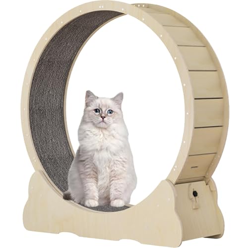 Katzenlaufrad für Hauskatzen, Laufband für Haustiere, mit Bremse, Laufrad für Katzen für die Gesundheit, interaktives Katzenspielzeug, mit Schloss und Teppichboden,Yellow-XL Katzenlaufrad für Hauskatzen, Laufband für Haustiere, mit Bremse, Laufrad für Katzen für die Gesundheit, interaktives Katzenspielzeug, mit Schloss und Teppichboden,Yellow-XL von Spdazzleburst
