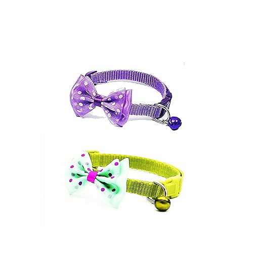 Speedway Stilvolles und sicheres Halsband mit Fliege für Katzen – perfekt für drinnen und draußen – Combo (lila, grün) von Speedway