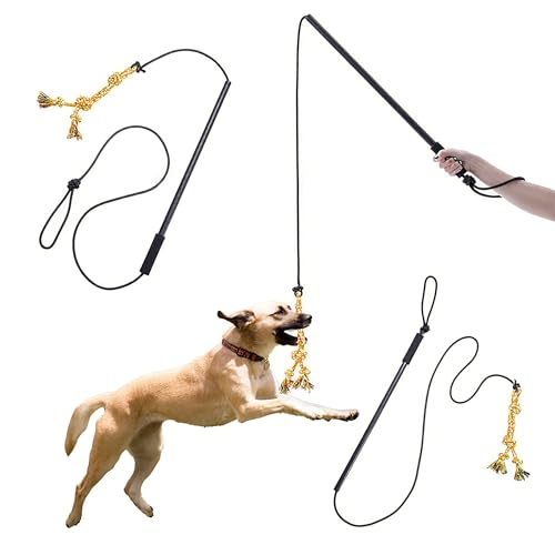 Speedy Panther Dog Flirt Pole with Rope Toy, Interactive Training Teaser Stab Chase and Tug of War Toy for Small Medium Large Dogs Speedy Panther Dog Flirt Pole with Rope Toy, Interactive Training Teaser Stab Chase and Tug of War Toy for Small Medium Large Dogs von Speedy Panther