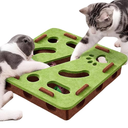 Speedy Panther Interaktives Katzen-Puzzle-Spielzeug, Mentale Stimulationsbox mit 3 Bällen, Indoor-Katzen-Gehirn-Trainingsspiel, Grün Speedy Panther Interaktives Katzen-Puzzle-Spielzeug, Mentale Stimulationsbox mit 3 Bällen, Indoor-Katzen-Gehirn-Trainingsspiel, Grün von Speedy Panther