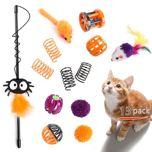Speedy Panther Katzenspielzeug für Indoor-Katzen, Spinnen-Spielzeug, Halloween-Kätzchen-Spielzeug, interaktives Katzenstab-Spielzeug mit Federspielzeug, Mausspielzeug und Plüschball, 13 Stück Speedy Panther Katzenspielzeug für Indoor-Katzen, Spinnen-Spielzeug, Halloween-Kätzchen-Spielzeug, interaktives Katzenstab-Spielzeug mit Federspielzeug, Mausspielzeug und Plüschball, 13 Stück von Speedy Panther
