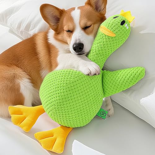 Speedy Panther Plüsch Ente Hundespielzeug für Große Hunde, 40cm Quietschspielzeug für Kleine Mittlere Große Hunde, Grün Speedy Panther Plüsch Ente Hundespielzeug für Große Hunde, 40cm Quietschspielzeug für Kleine Mittlere Große Hunde, Grün von Speedy Panther