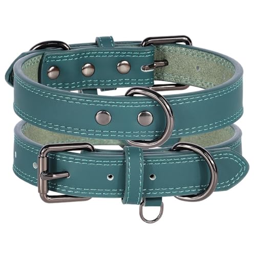 Hundehalsband aus Leder, langlebig, Halskette, verstellbare Halsketten for kleine, mittelgroße und große Hunde (Color : Green, Size : M) von SpeesY