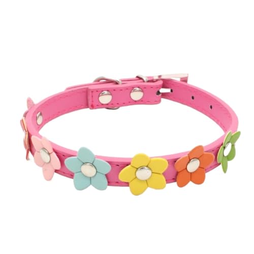 Tragbare Blumen Haustier Hundehalsband Leine PU Leder Katze Kette Halsband for kleine mittlere große Halskette (Color : C05, Size : M) von SpeesY