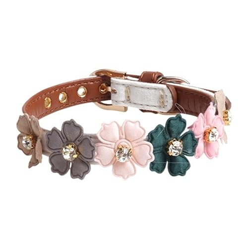 Verstellbares Haustierhalsband for kleine und mittelgroße Hunde. Glänzende schöne Bunte Blumen mit Haustierhalsband (Color : C1, Size : S) von SpeesY