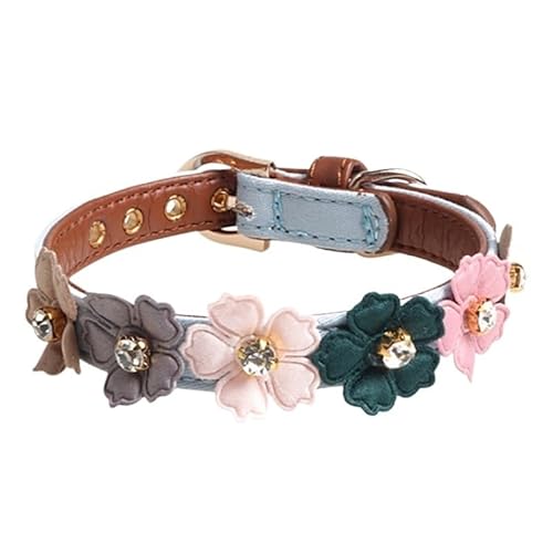 Verstellbares Haustierhalsband for kleine und mittelgroße Hunde. Glänzende schöne Bunte Blumen mit Haustierhalsband (Color : C4, Size : S) von SpeesY