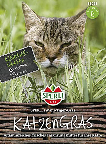 Sperli 88063 Katzengras Mini-Tiger-Gras (Kleintiersaaten) von Sperli