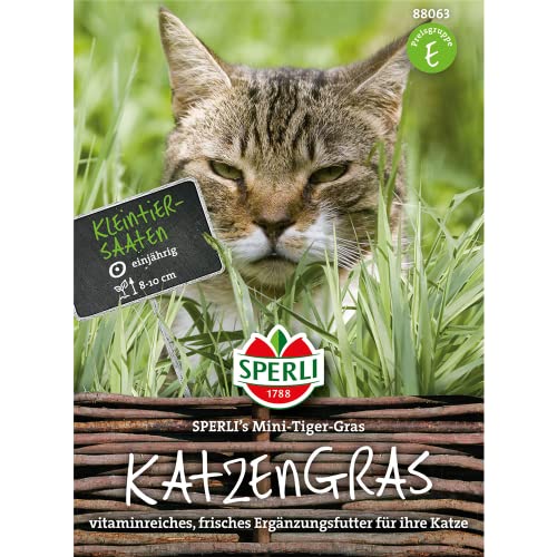 Sperli-Samen Katzengras SPERLI's Mini-Tiger-Gras 30 g von Sperli