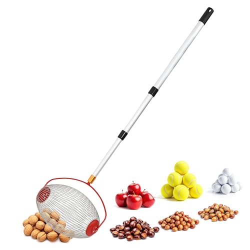 Rollsammler mit Alu Teleskopstiel - ausziehbar bis 120 cm - Nusssammler mit großem Erntekorb - Kugelpflücker Obstsammler Erntemaschine für Äpfel Birnen Kastanien Obst Nüsse Tennisball Golfball Rollsammler mit Alu Teleskopstiel - ausziehbar bis 120 cm - Nusssammler mit großem Erntekorb - Kugelpflücker Obstsammler Erntemaschine für Äpfel Birnen Kastanien Obst Nüsse Tennisball Golfball von Spetebo